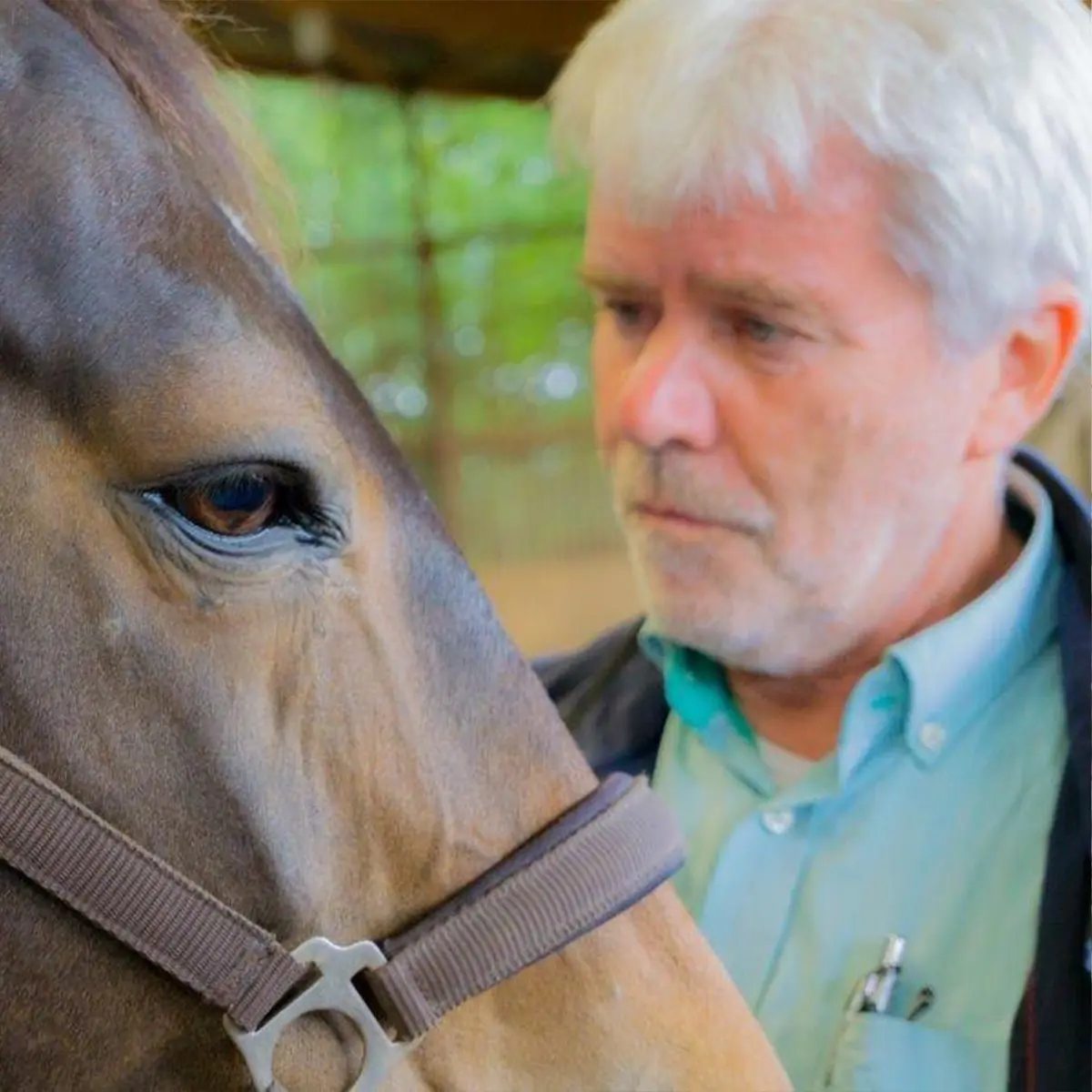 Christian Torp mit Pferd