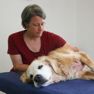 Osteopathie in der Geriatrie – wichtige Behandlungsansätze