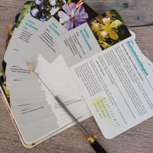 Praxisseminar - Energetische Testverfahren vernetzen