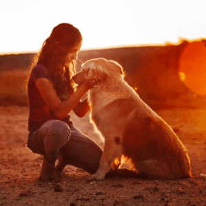 Wenn sie gehen ... - Haustiere im Sterben begleiten