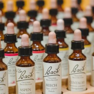 Blütenessenzen - für Körper, Geist und Seele